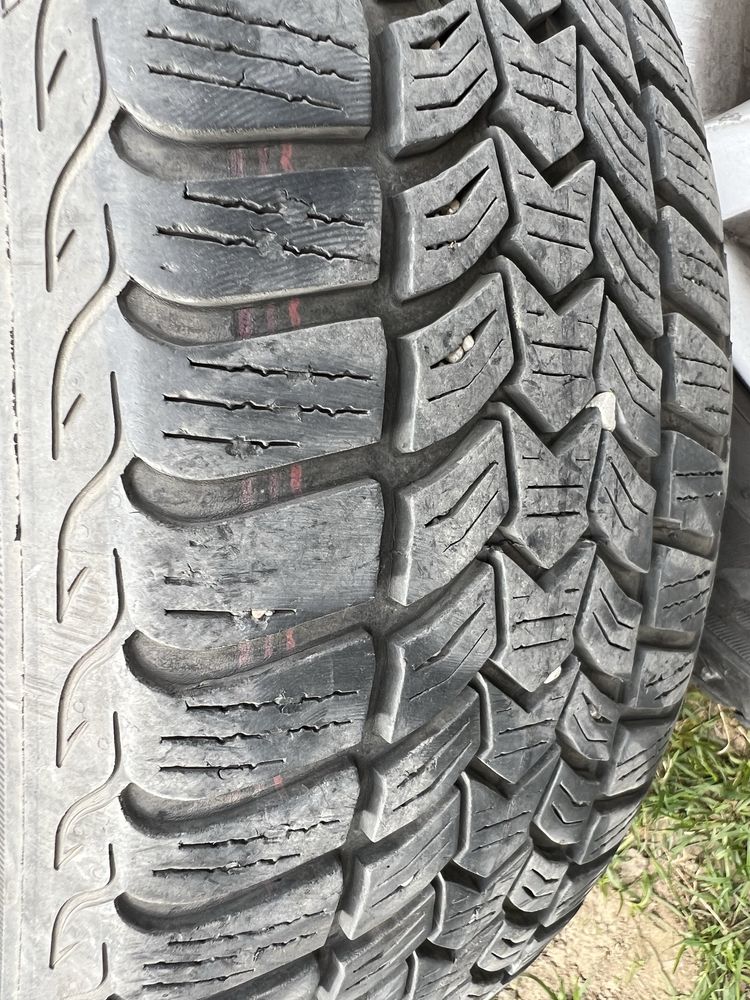 Roti Audi 16” cu anvelope iarna 205/60/16