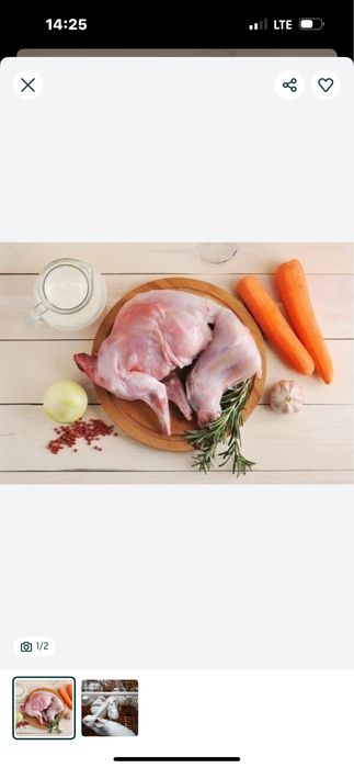 Куйон суйиб берамиз