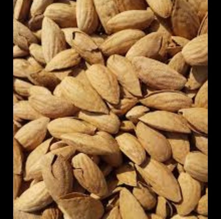 Prezident bodom optom narxda