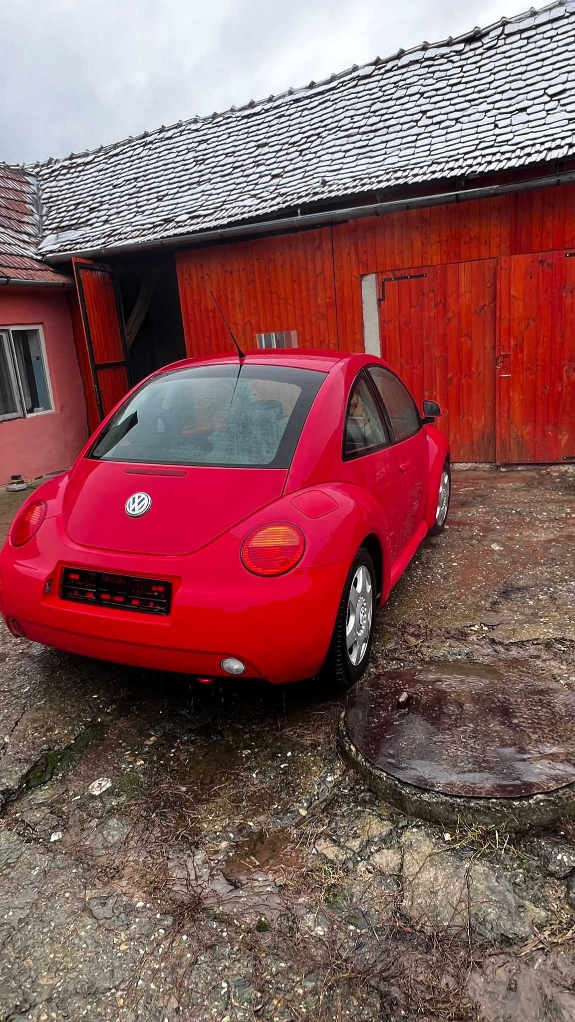 VW Beetle 1.9 TDI ALH  schimb cu Talpa compactoare