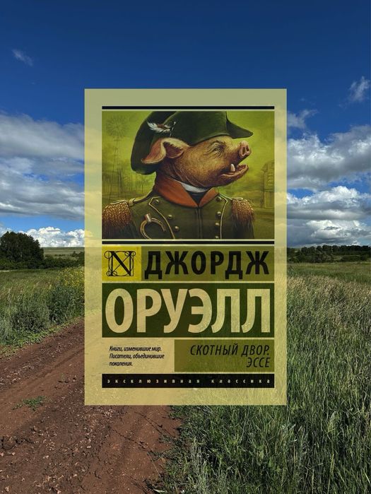 Книги книги книги