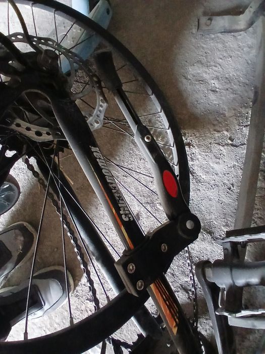 Velikga loshka yangi chang bugan