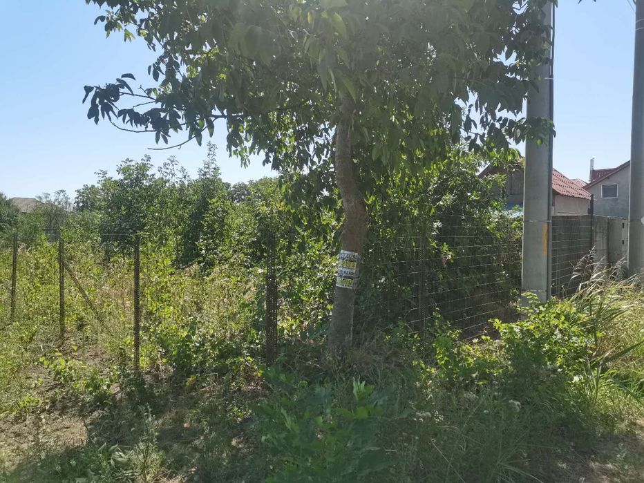 Proprietate in Branesti cu teren