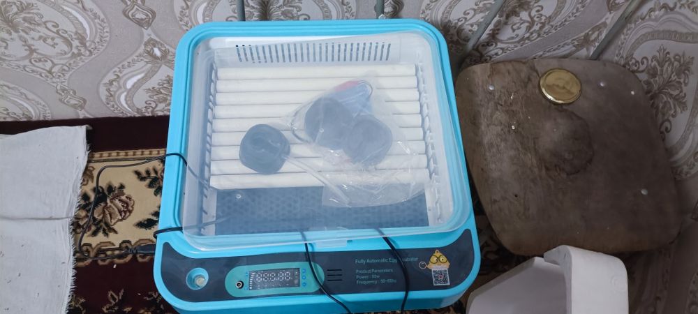 Инкубатор янги сотилади