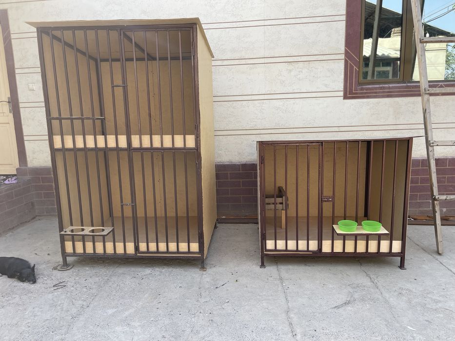 Дакан хорозларга сифатли катаклар