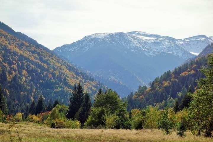 Vând teren zona turistica Breaza Făgăraș jud Brașov