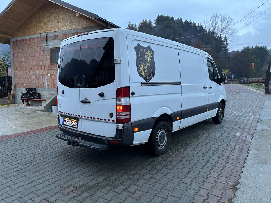 Mercedes sprinter 313