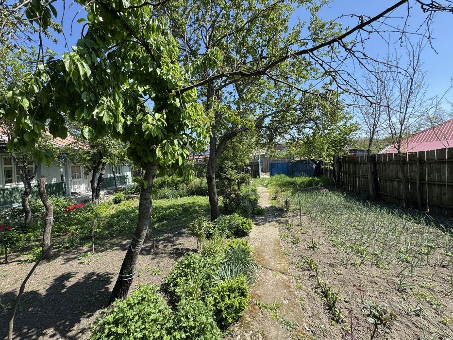 Casa batraneasca + teren 3500mp