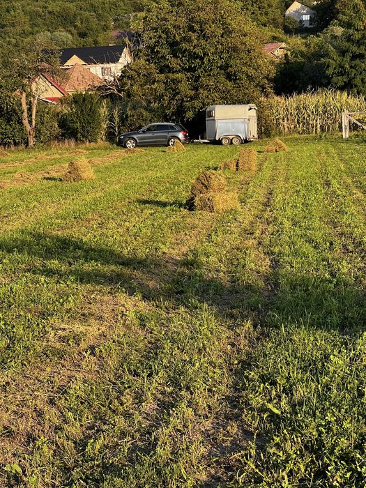 Baloti patrati de lucerna