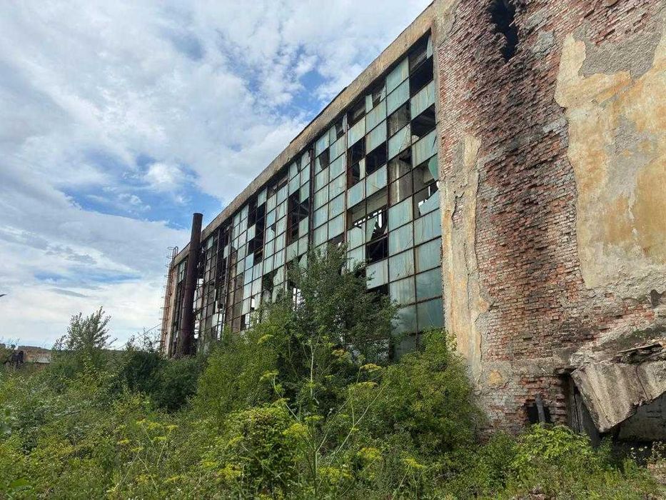 Vand hala cu front la strada principala