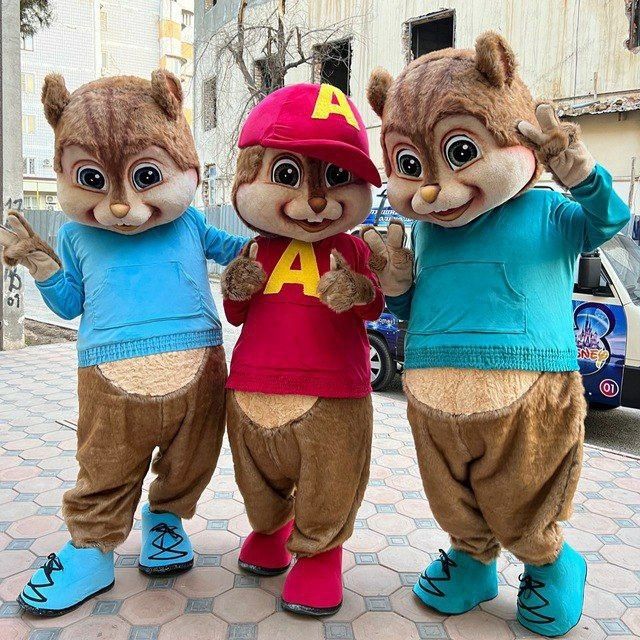 Ayiqchalar arzon sotiladi