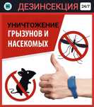 Дезинфекция от всех насекомых