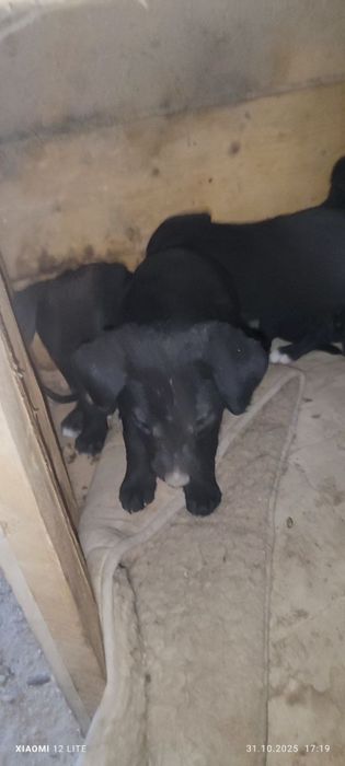 Дети ищут семьи!