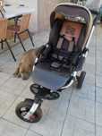Carucior Jane slalom 3 in 1


Search

Cont

Wishlist

Cos

Meniu
Caruc