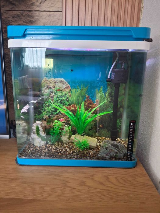 Три аквариума комплект с рибки