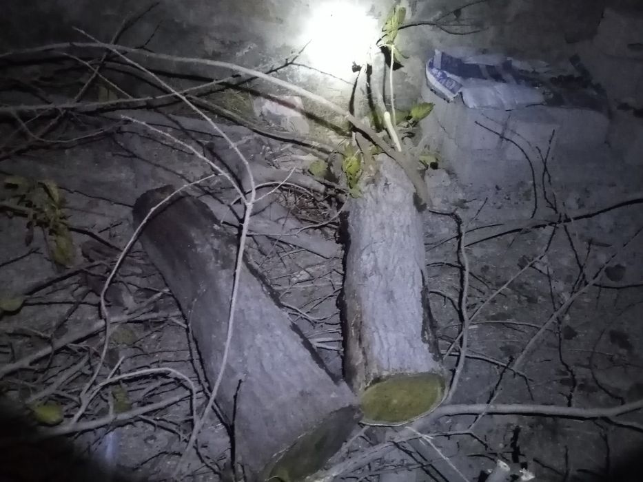 Утин сотилади коп