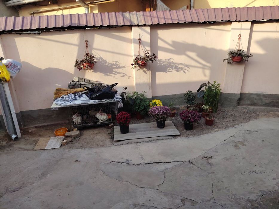 Небольшой дом не дорого