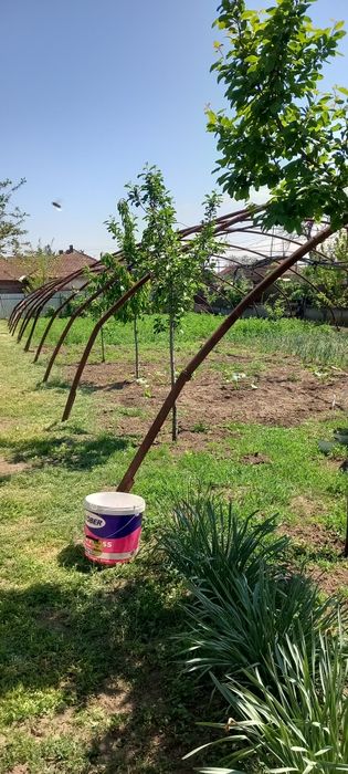 Vând solar dimensiune 40m