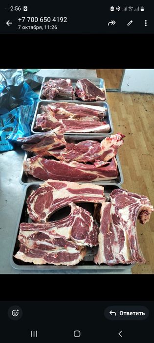 Ет Мяса конина баран карова сиыр жылқы кой