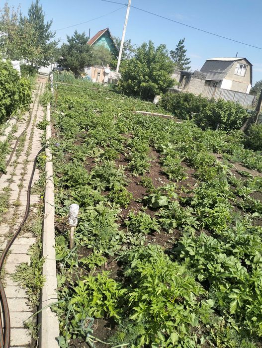 Продается ухоженная дача на федоровке