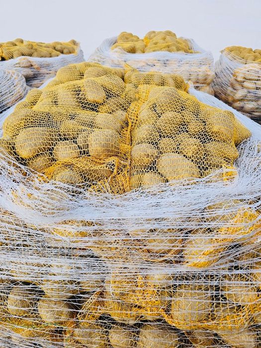 Cartofi de consum Alb si Roșu