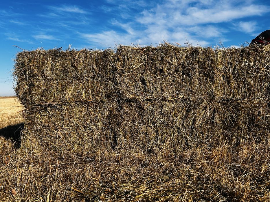 Прадам тюки цена договарная
