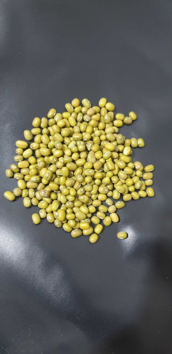 МАШ высшего сорта