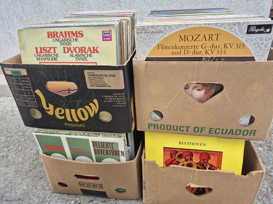 Vând Lot 100 Discuri Vinil colectie muzica clasica mixta