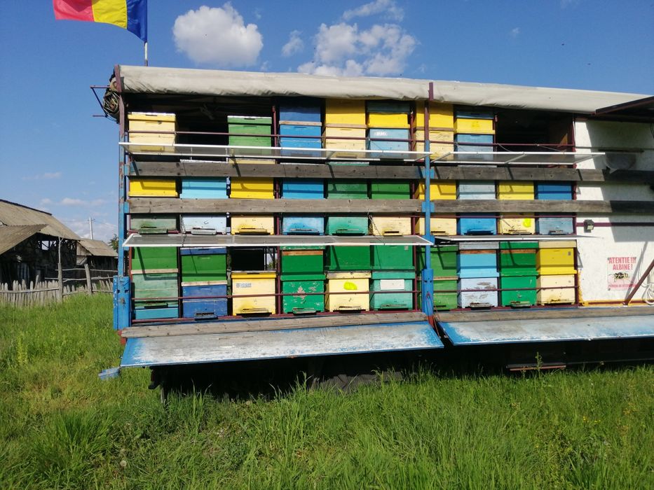 Mercedes 814 Apicolă