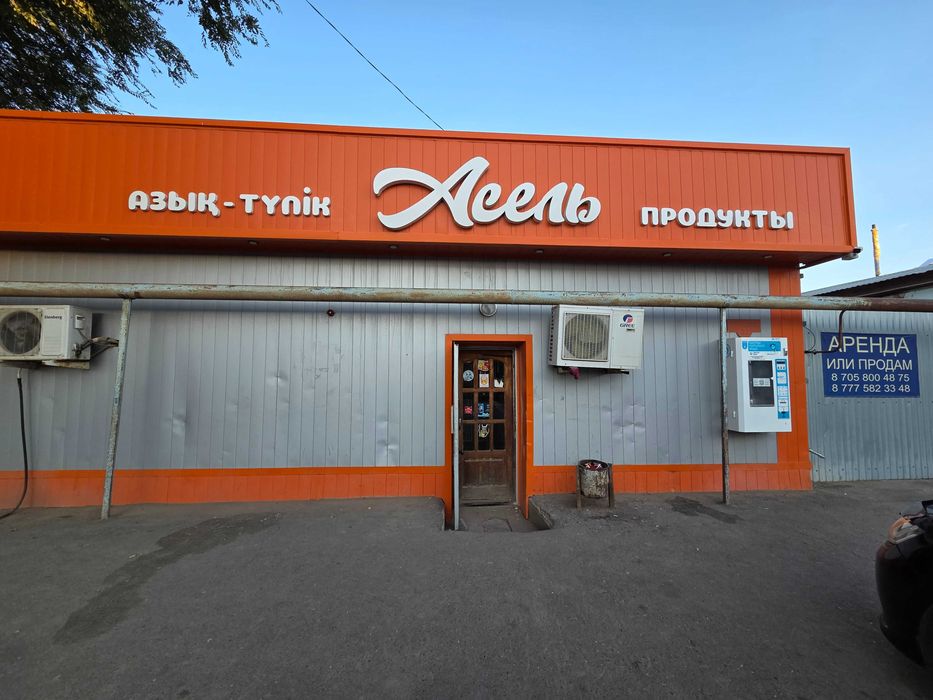 Дом с участком и магазин