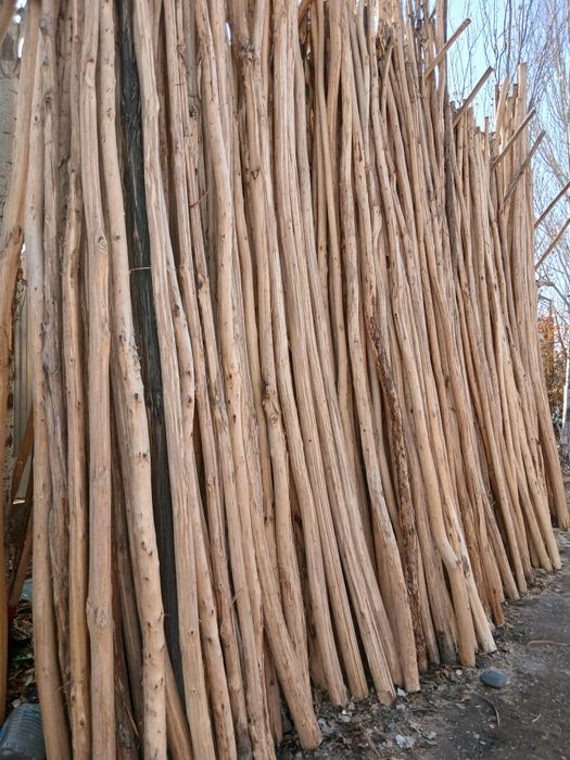 Terak druchkalari bor jami 1000ta donasi 30 mingdan yanaxam kelishami