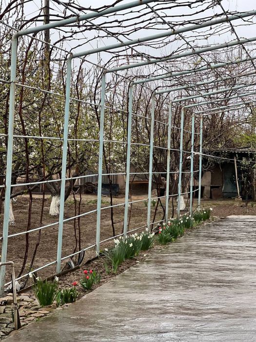 Uy sotiladi 16 sotix