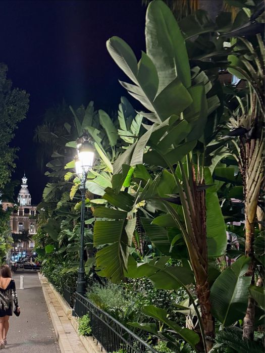 Елегантна дамска рокля с V-образен гръб М/Л