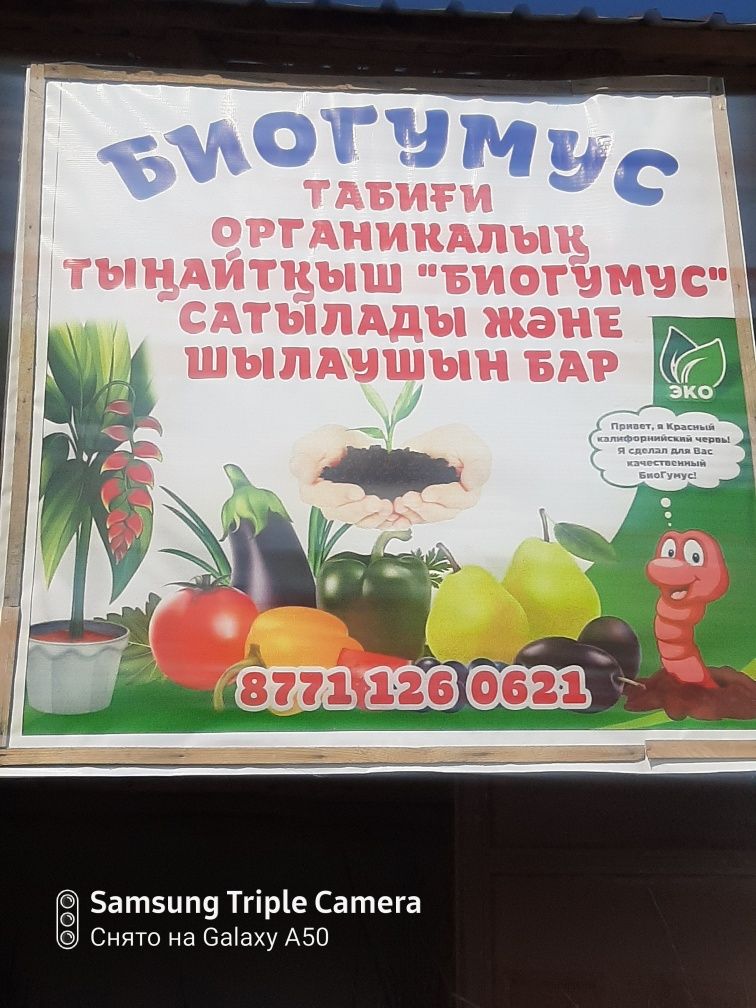 Продам Биогумус высшей пробы