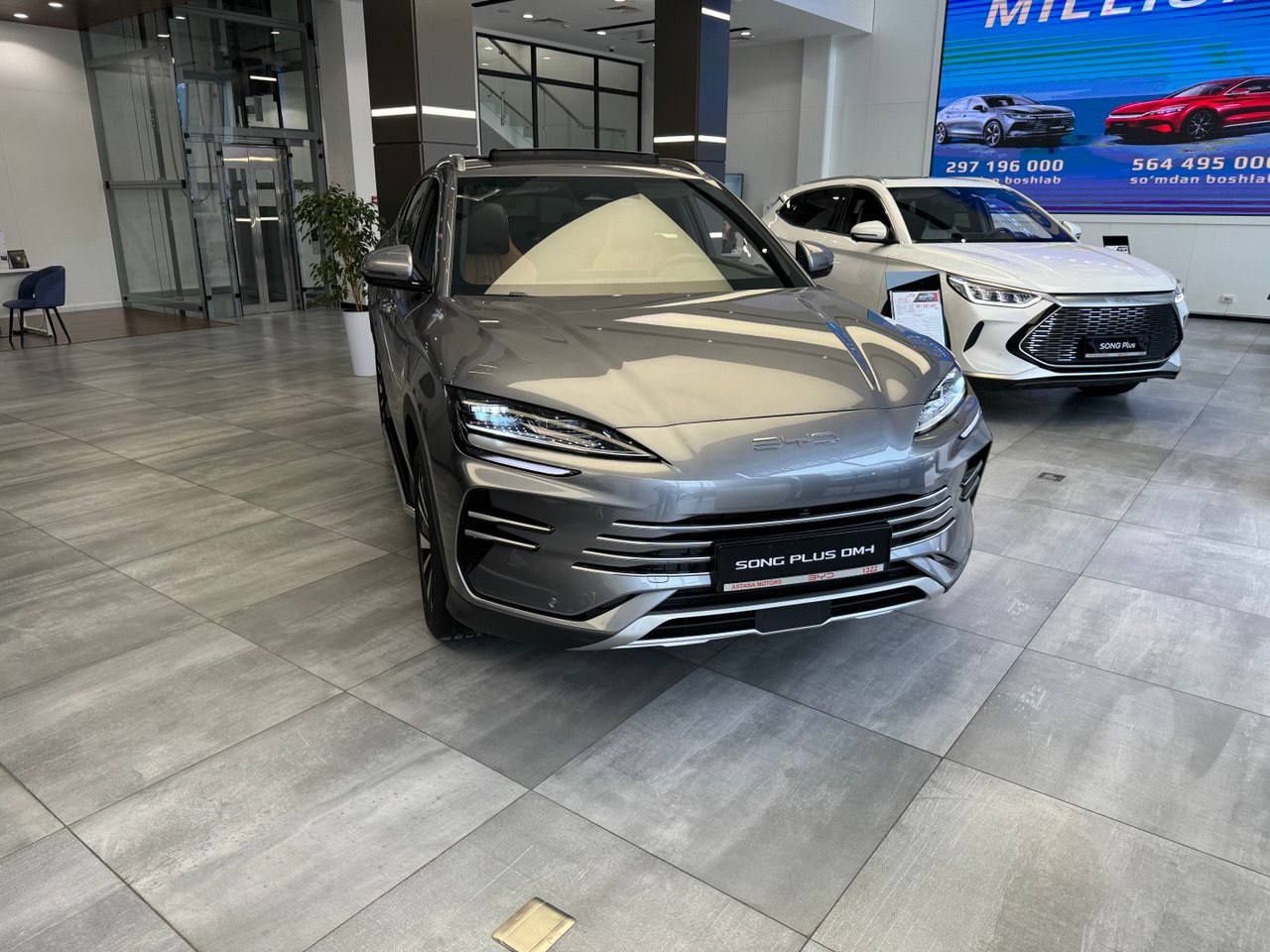 Byd chempion gibrid 2024