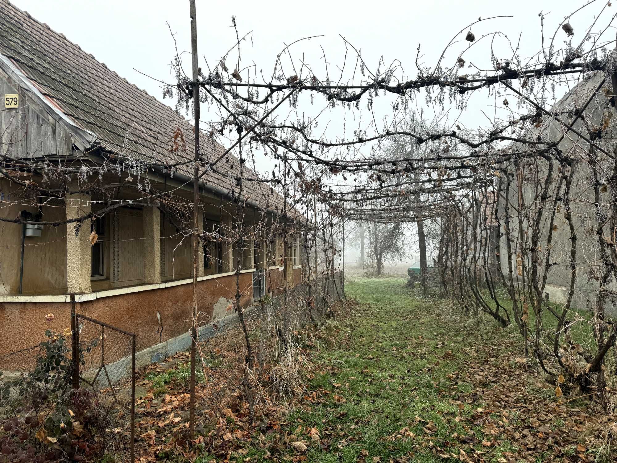 Casa De Vanzare LUNA
