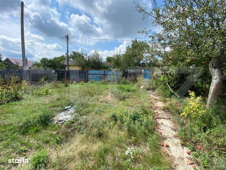 Casa batraneasca cu 6000 mp teren Schitul Duca