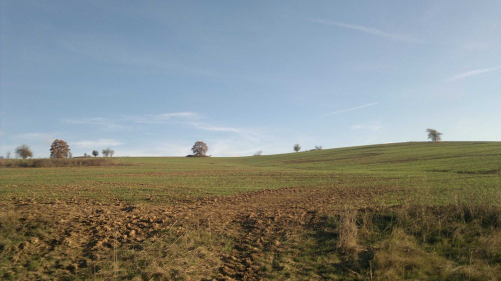 Продава се Парцел в с. Лъга, Област София-област - 12336 кв.м за 1 €/кв.м - Снимка #1