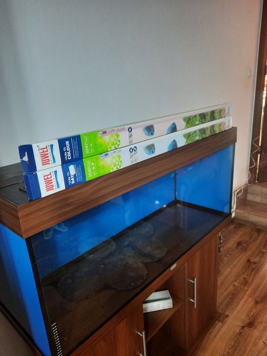 Acvariu original Juwel 240L