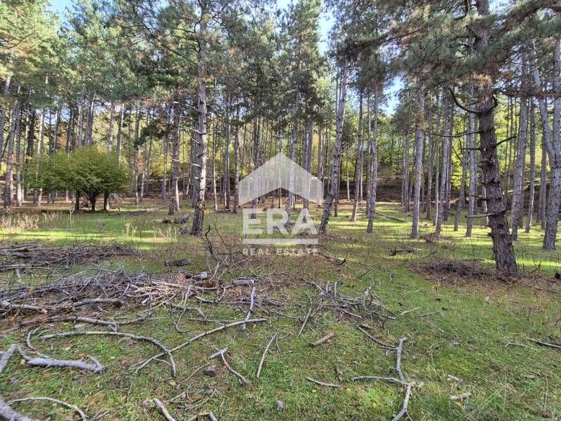 Уникален парцел на брега на язовир Студен кладенец