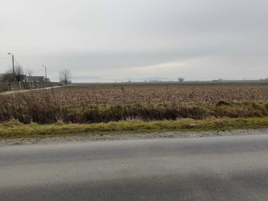 De vanzare teren intravilan in Halmeu (loc de casa)