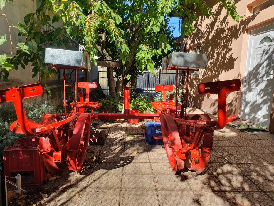 Semanatoare lavandă