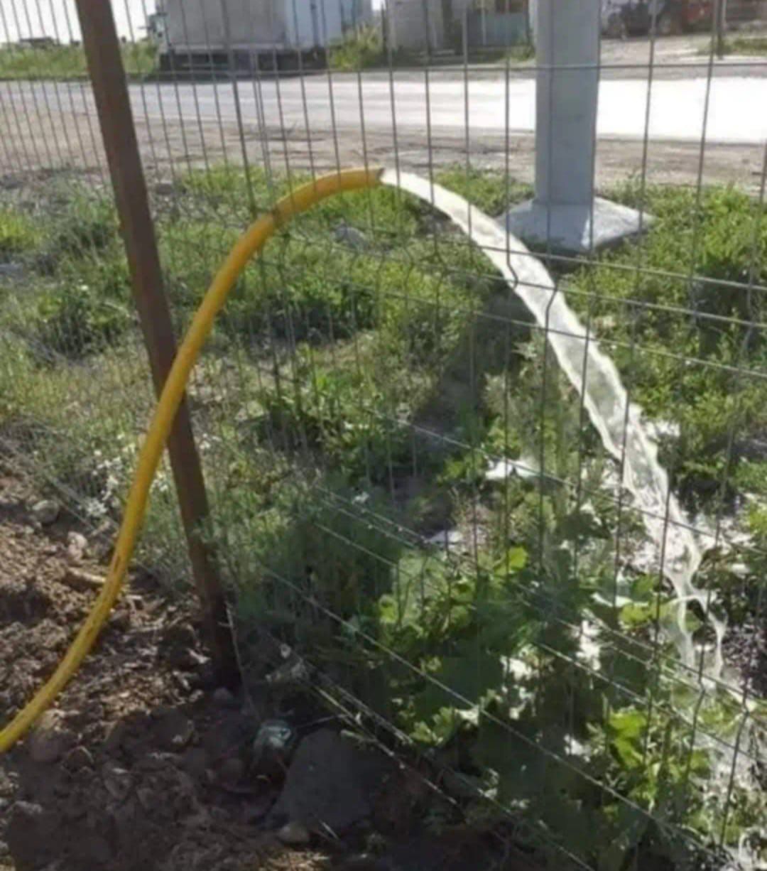 Foraje puțuri apă