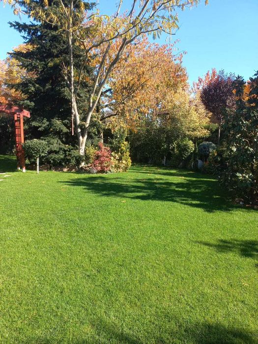 Producător Brazi Normandieni – Garanția Calității