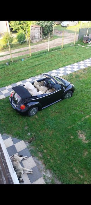 Vand VW New Beetle 1.9 TDI