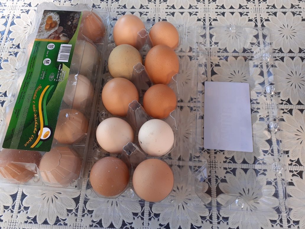 Продавам пресни яйца от щастливи кокошки