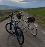 Biciclete de oraș și montan