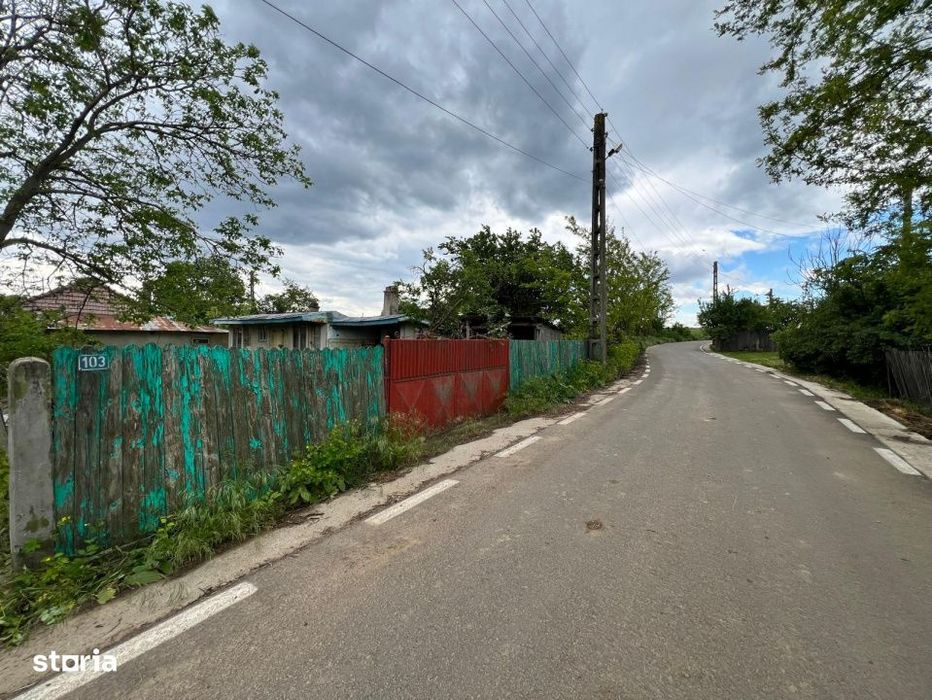 Casa + teren 4430 mp, vie si pomi fructiferi, 22 km de Tecuci