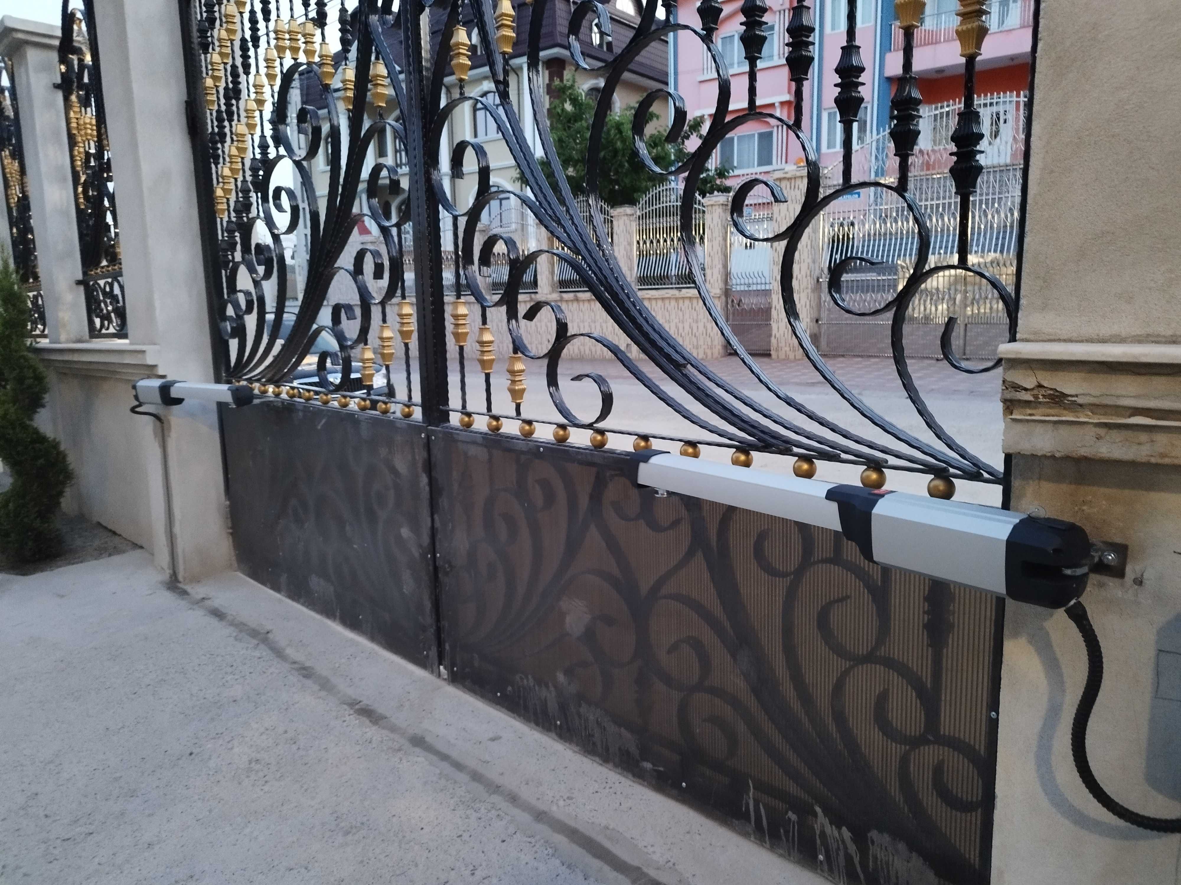 Automatizări Porți cu Balamale în Iași