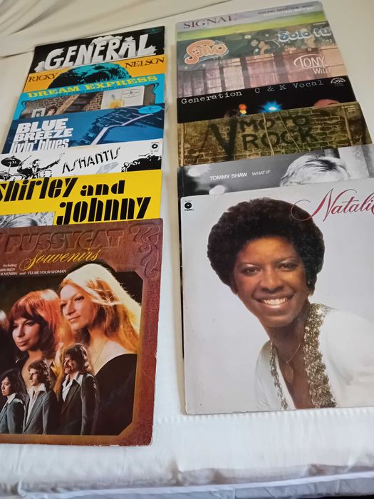 Discuri  vinil muzica